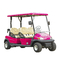 Chinese Manufacturer Color Optional 4 Seats Golf Car Tourist Car for Golf Course Tourist Spot